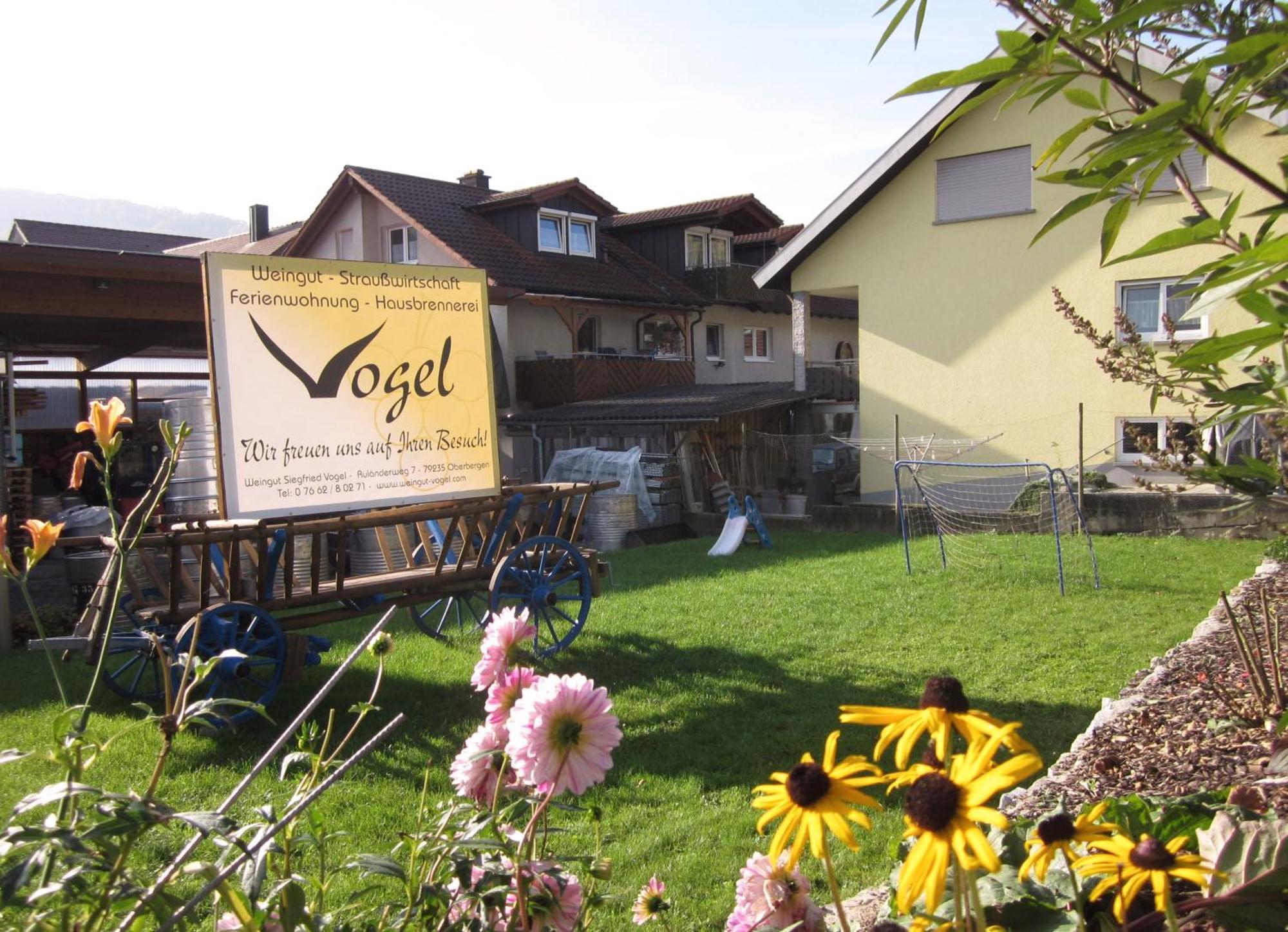 Appartamento Weingut & Strausswirtschaft Vogel Vogtsburg Esterno foto