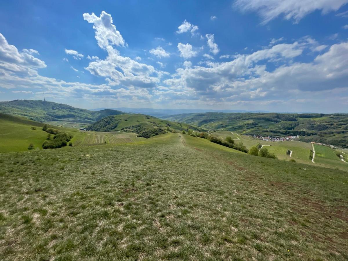Appartamento Weingut & Strausswirtschaft Vogel Vogtsburg Esterno foto