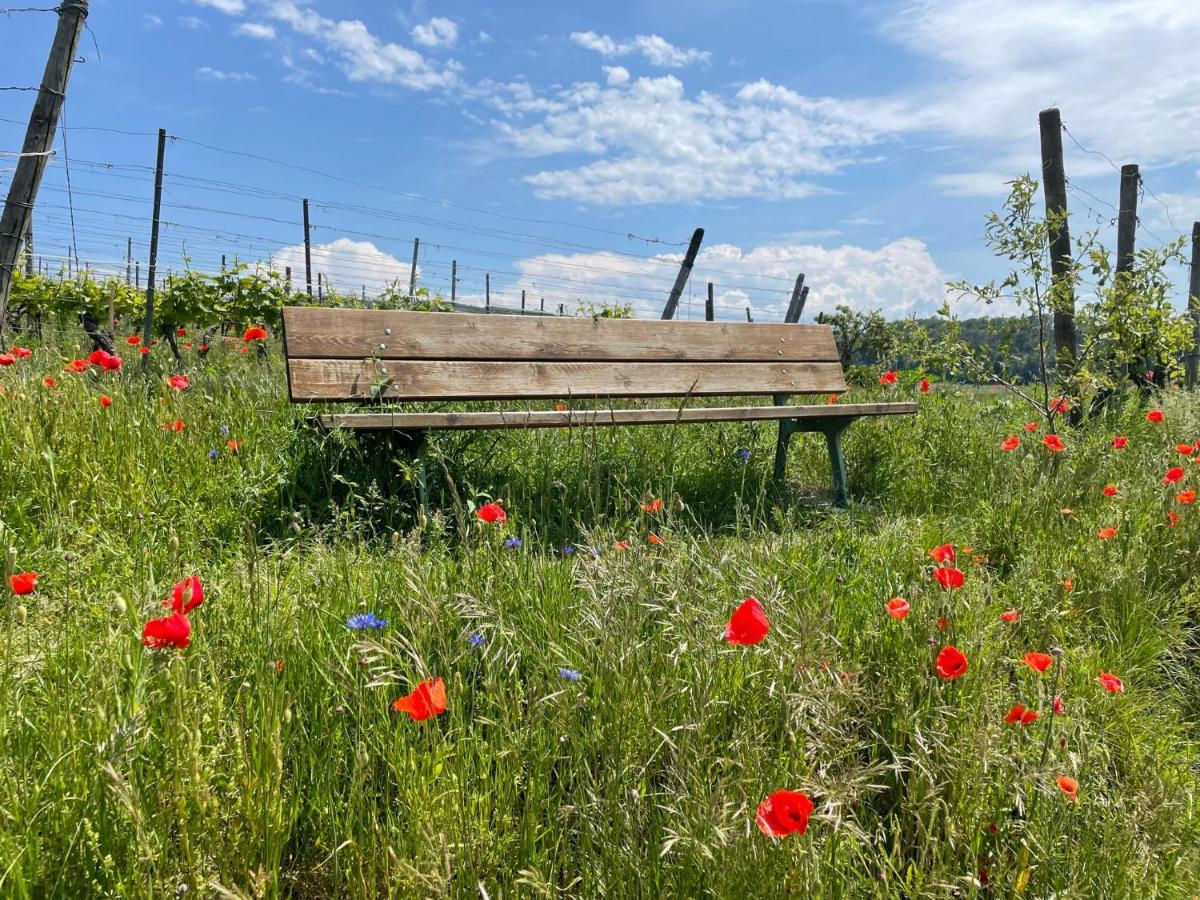 Appartamento Weingut & Strausswirtschaft Vogel Vogtsburg Esterno foto
