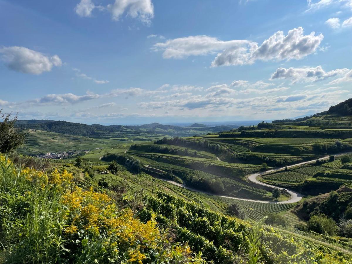 Appartamento Weingut & Strausswirtschaft Vogel Vogtsburg Esterno foto
