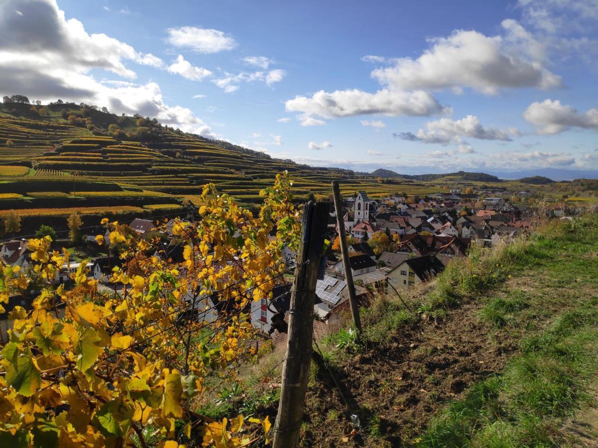 Appartamento Weingut & Strausswirtschaft Vogel Vogtsburg Esterno foto