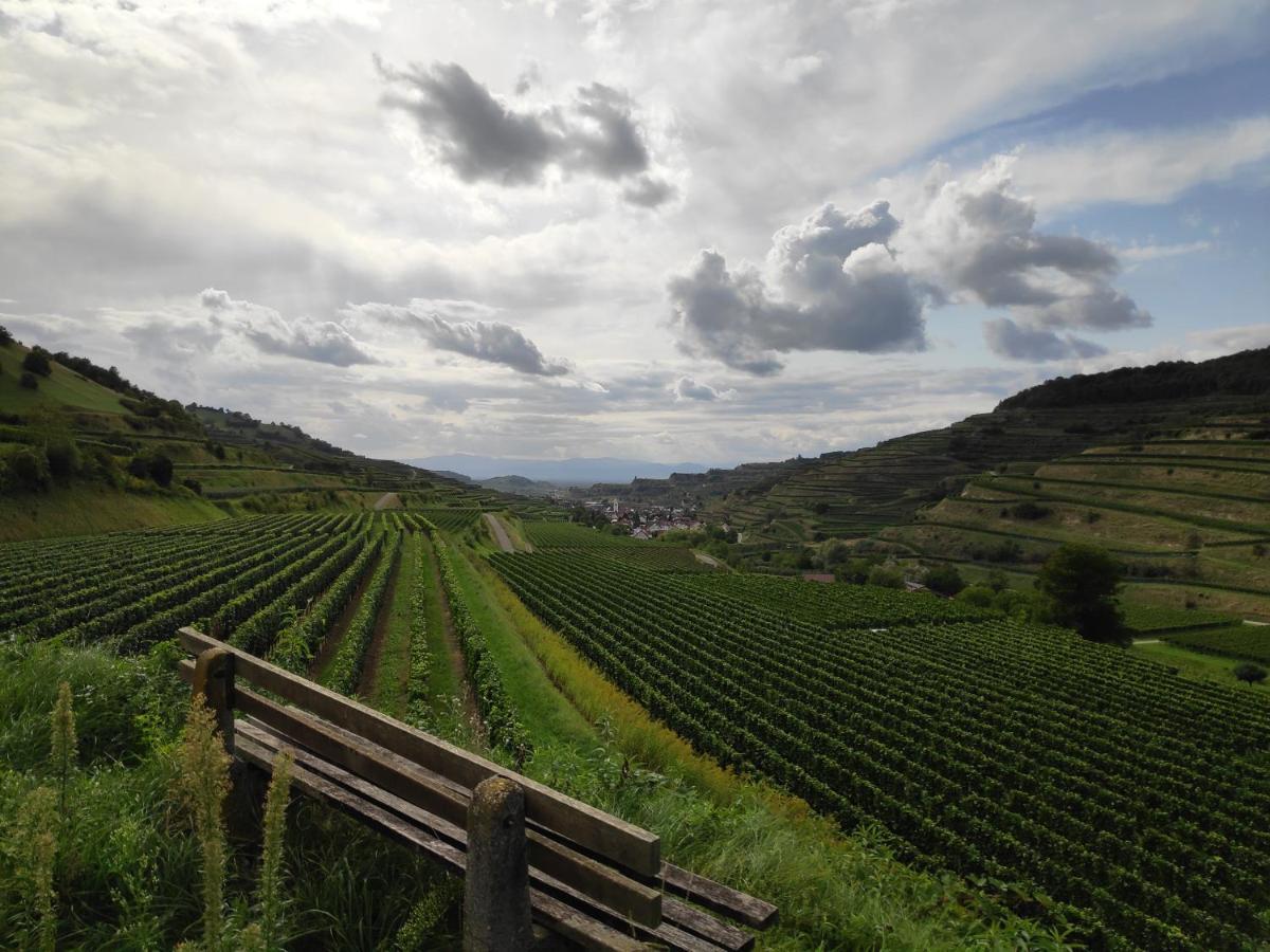 Appartamento Weingut & Strausswirtschaft Vogel Vogtsburg Esterno foto