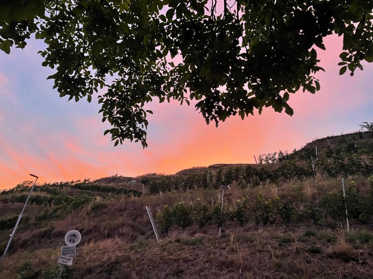 Appartamento Weingut & Strausswirtschaft Vogel Vogtsburg Esterno foto