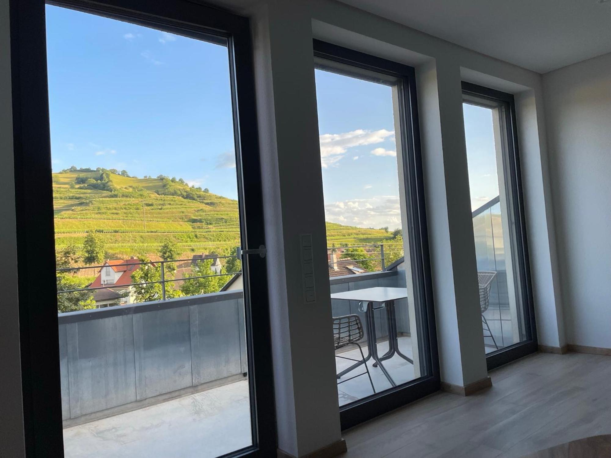 Appartamento Weingut & Strausswirtschaft Vogel Vogtsburg Esterno foto