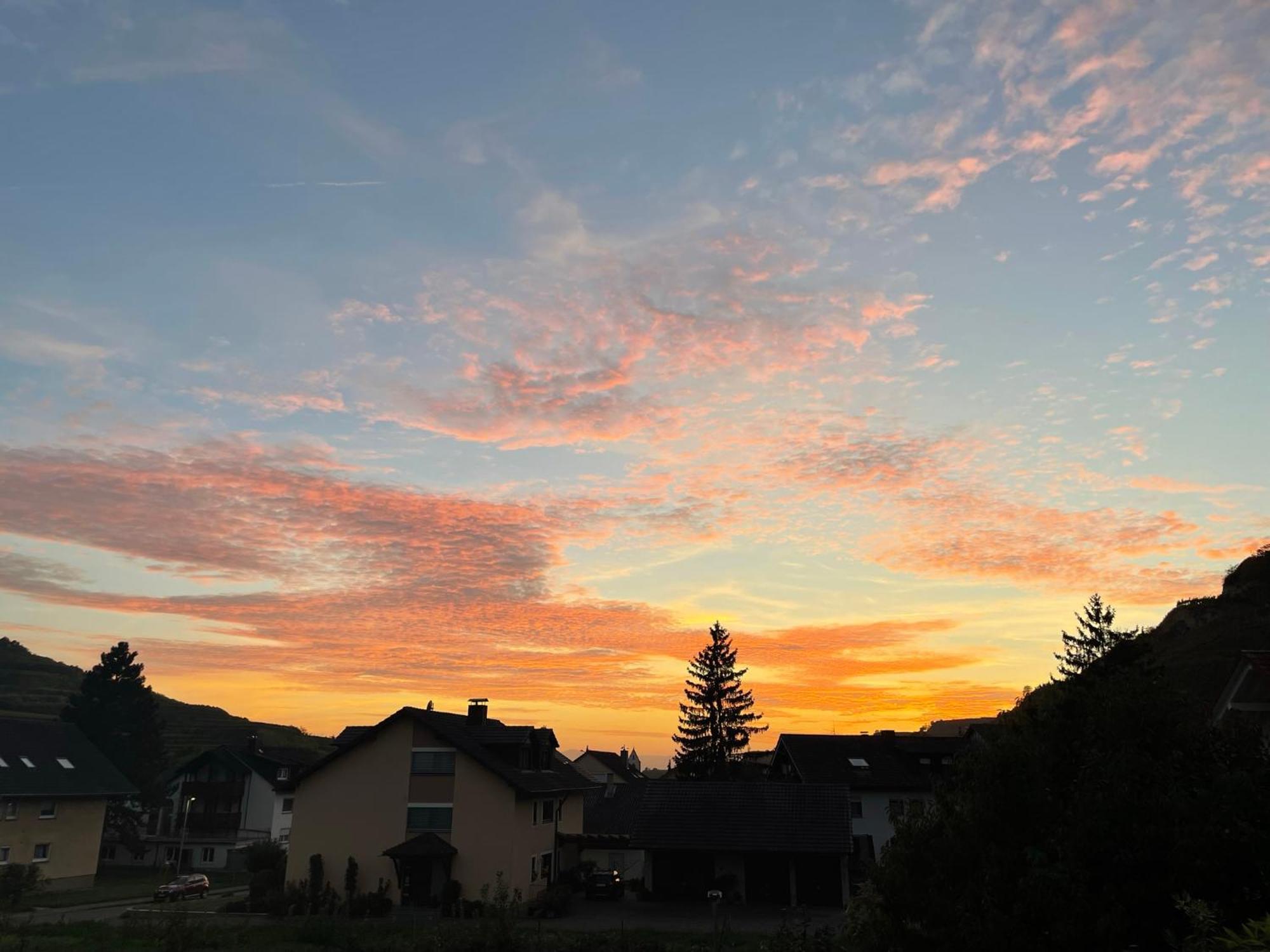 Appartamento Weingut & Strausswirtschaft Vogel Vogtsburg Esterno foto